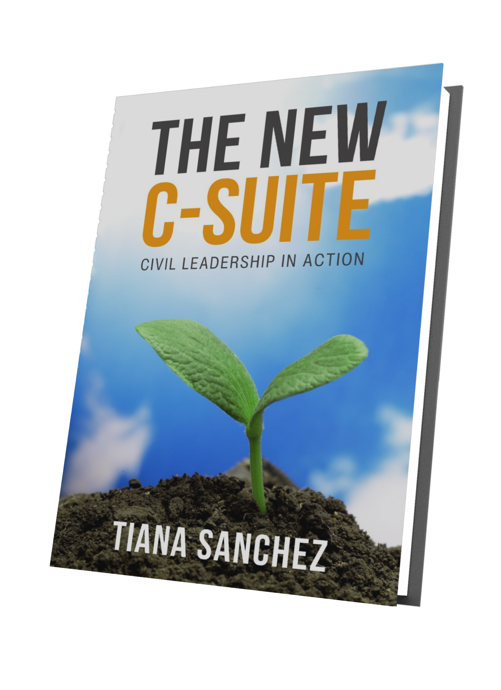 The New C-Suite: Civil Leadership in Action book cover